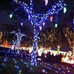 小晴 的個人照片