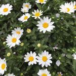 詹小華 的個人照片