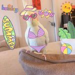 仟慧 的個人照片