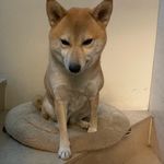 116級310104餐１班熊奕翔