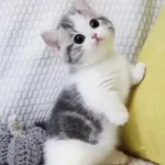 116級310106餐１班江宥楨 的個人照片