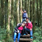 陳珮茹 的個人照片