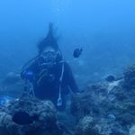 Summer Wu 的個人照片