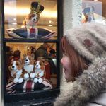 Candy Chen 的個人照片