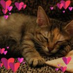 Felix Chen 的個人照片