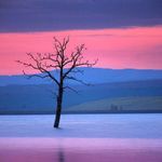 Linda  Lin 的個人照片