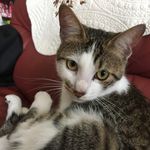 Crystal 的個人照片