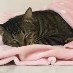 Rosalyn/羅莎琳 的個人照片