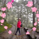 秀珍姨 的個人照片