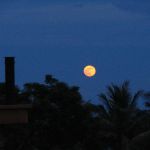 Chinshane Chung 的個人照片