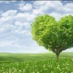 Red Apple 的個人照片