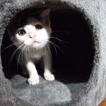 阿斯蠻 的個人照片