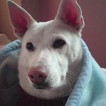 Wandy Lu 的個人照片