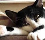 Tzu Tzu H 的個人照片