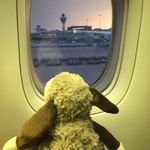 建伶陳 的個人照片