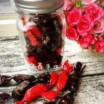 Renee 的個人照片