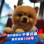 陳思妤 的個人照片