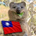 Ysi Wonder 的個人照片