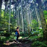 Carrie Yang 的個人照片