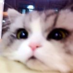 灰灰 的個人照片