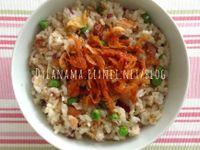 DYLANAMA ♥ 私房鮭魚炒飯