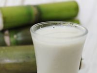 甘蔗鮮奶茶