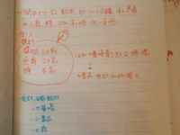 ［泰式打拋豬］會客菜