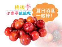 【厚生廚房】甜漬桃接李