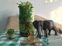 [綠藤芽食譜] 綠藤罐裝沙拉