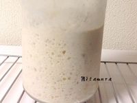 天然草莓酵母麵種