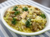 寵物鮮食/牛肉鮭魚南瓜燉飯