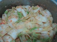 黃金泡菜