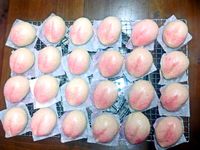 金沙白蓮蓉壽包