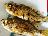椒鹽鯽魚