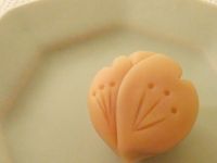 【Tomiz小食堂】練切和菓子 櫻
