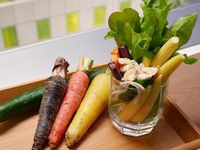 【廚男料理筆記】健康清爽雞肉沙拉