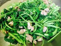 筧菜炒肉絲