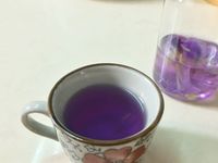 夢幻蝶豆花茶