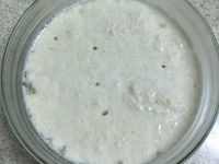 克菲爾菌（豆漿）