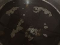 紫米粥