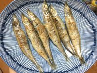 香煎柳葉魚