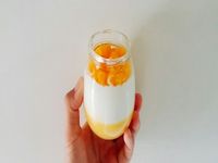 香濃芒果奶酪(純鮮奶，吉利t)