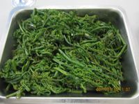 涼伴過貓兒菜