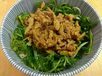 《低醣生酮》京醬肉絲~一餐一道菜