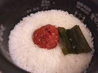 整顆蕃茄飯
