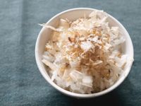 貓飯
