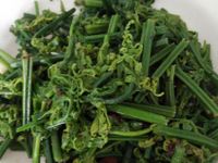 豆鼓過貓