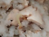 虱目魚肚粥