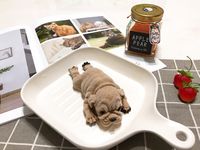 沙皮狗蛋糕🐶