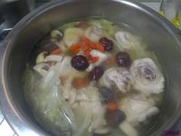 [寵物感冒湯品-高麗菜雞湯]